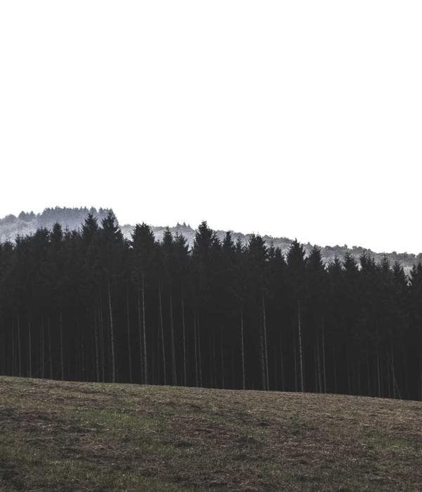 Dieng